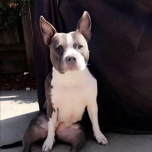 Meet your Posher, Zach